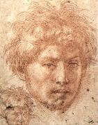 Andrea del Sarto Head of a Young Man Germany oil painting artist